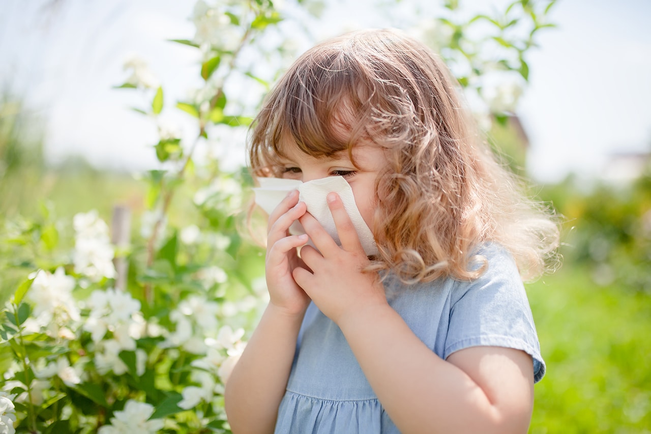 Allergy 1